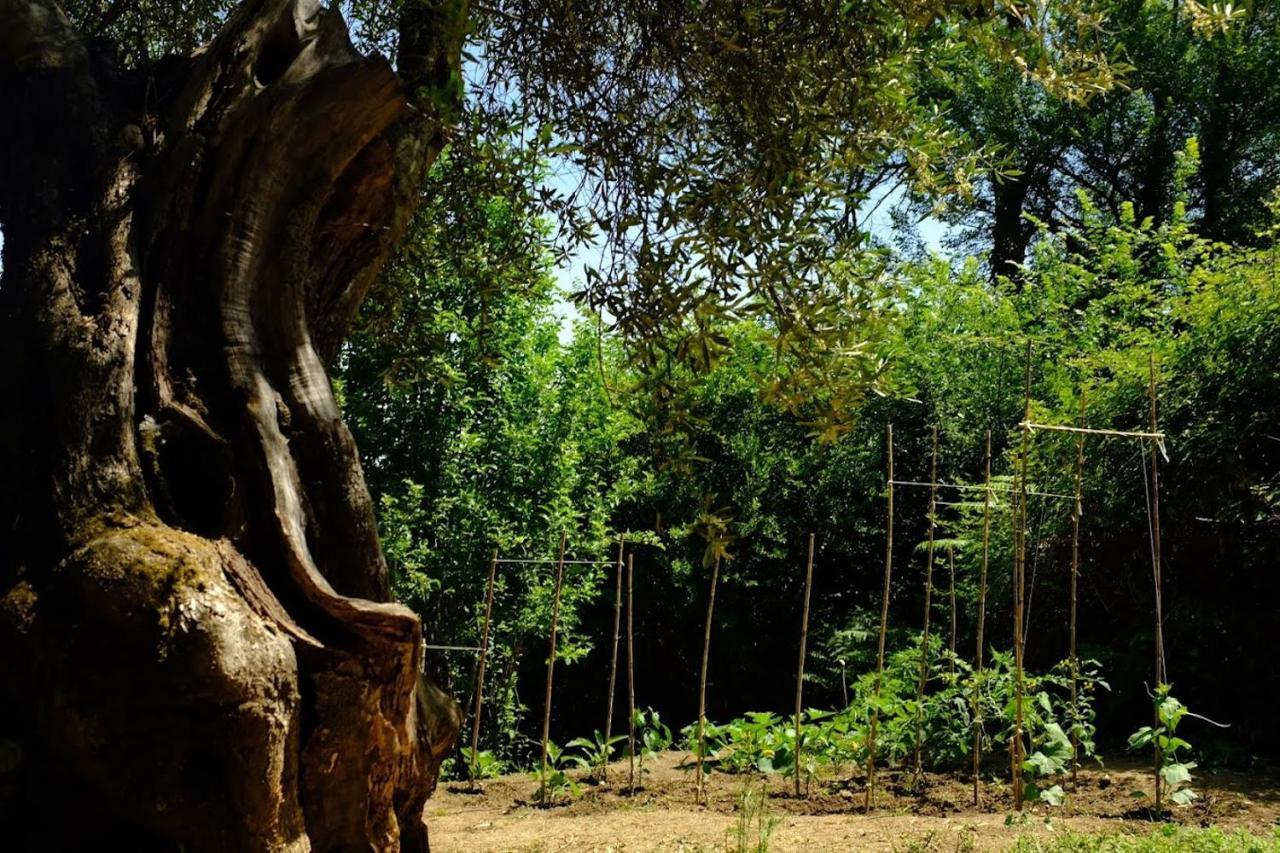 Villa Boukari Chlomos Dış mekan fotoğraf
